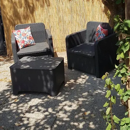 Caloupile Alata